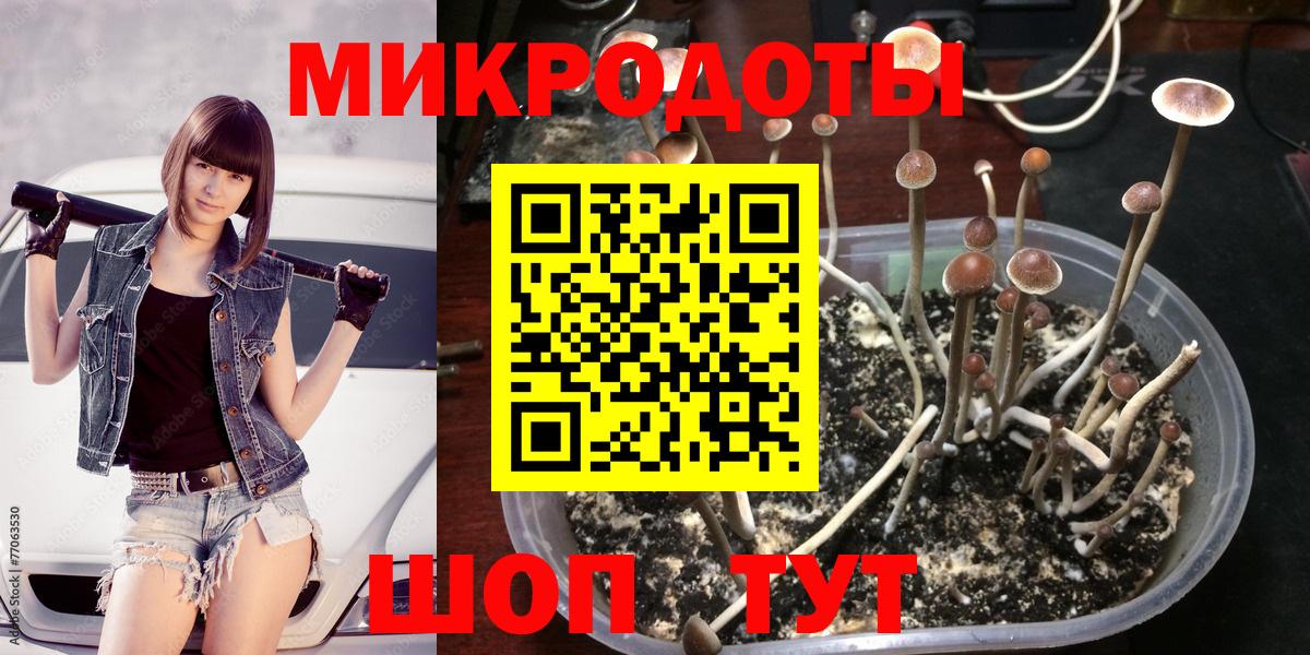 наркота  Вход с VPN  Фурманов  Псилоцибиновые грибы ЛСД 
